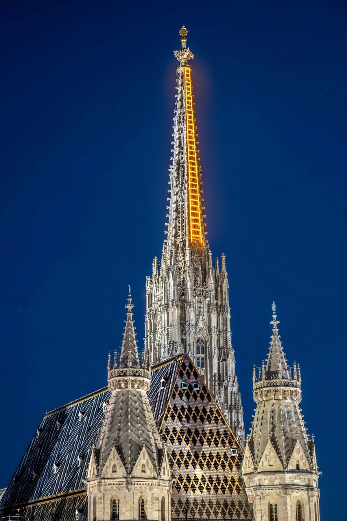 Billi Thanner Himmelsleiter Installation Stephansdom Wien - leuchtende Leiter am gotischen Kirchturm bei Nacht