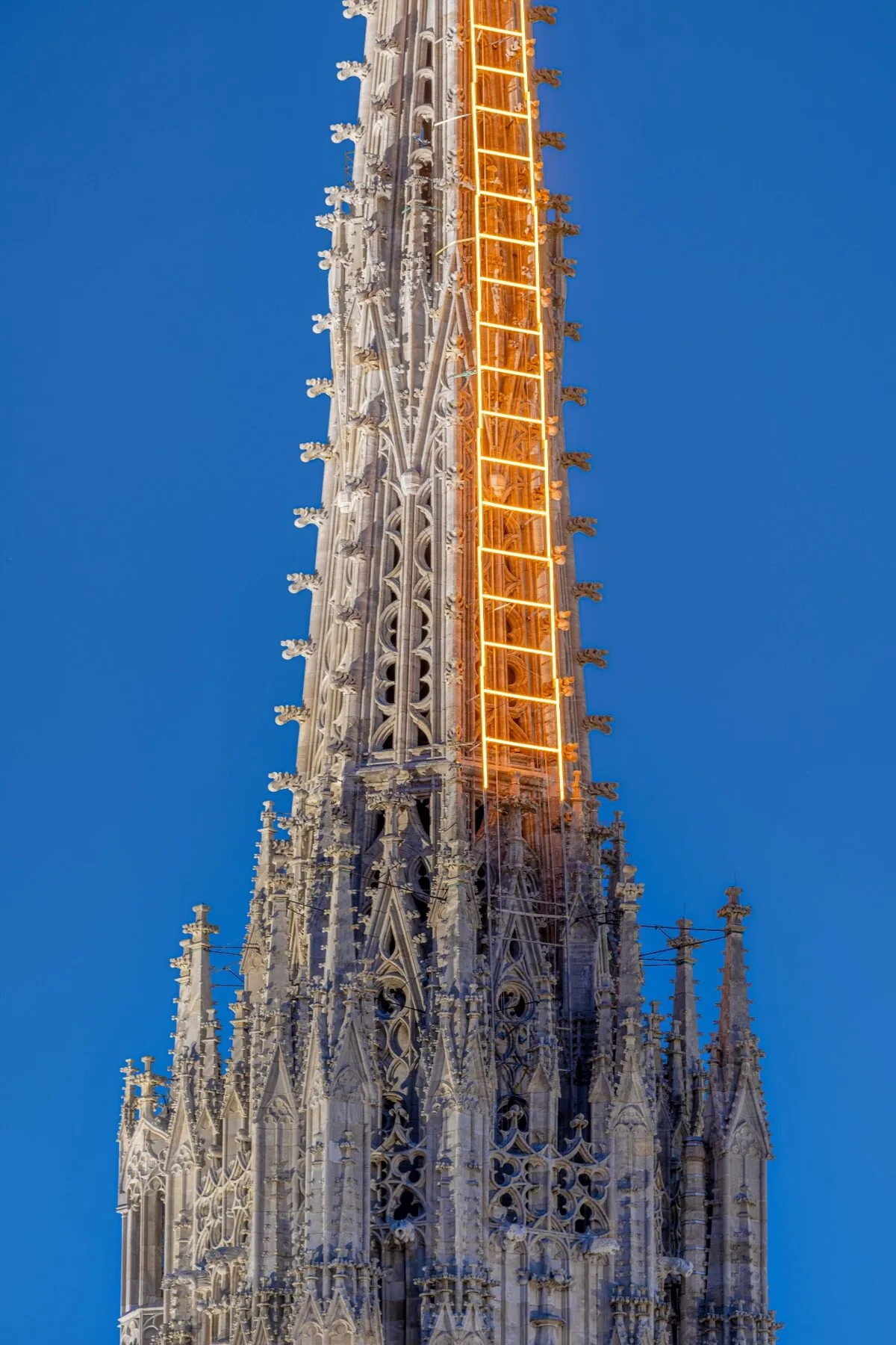 Stephansdom Wien mit Himmelsleiter Lichtinstallation - goldenes Licht am Südturm der Kathedrale