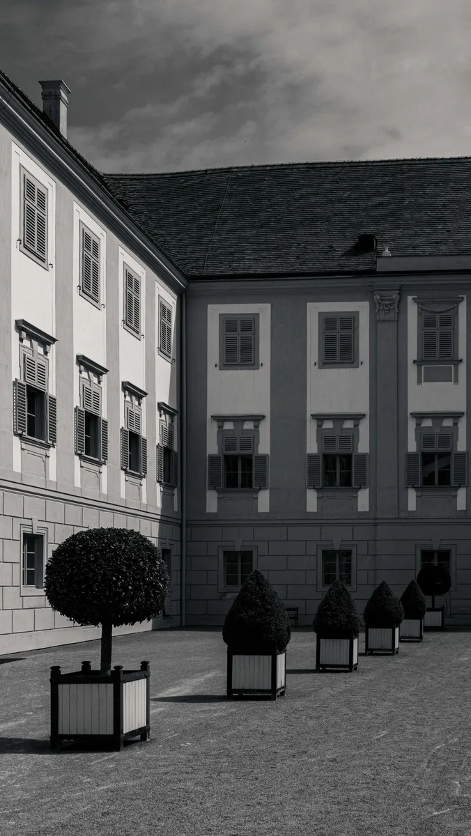 Schloss Hof courtyard — topiary trees in planters, baroque architecture, black and white by Peter Scholz